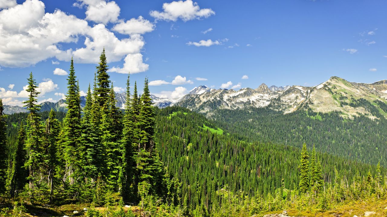 Mountain view from Mount Revelstoke National Park.