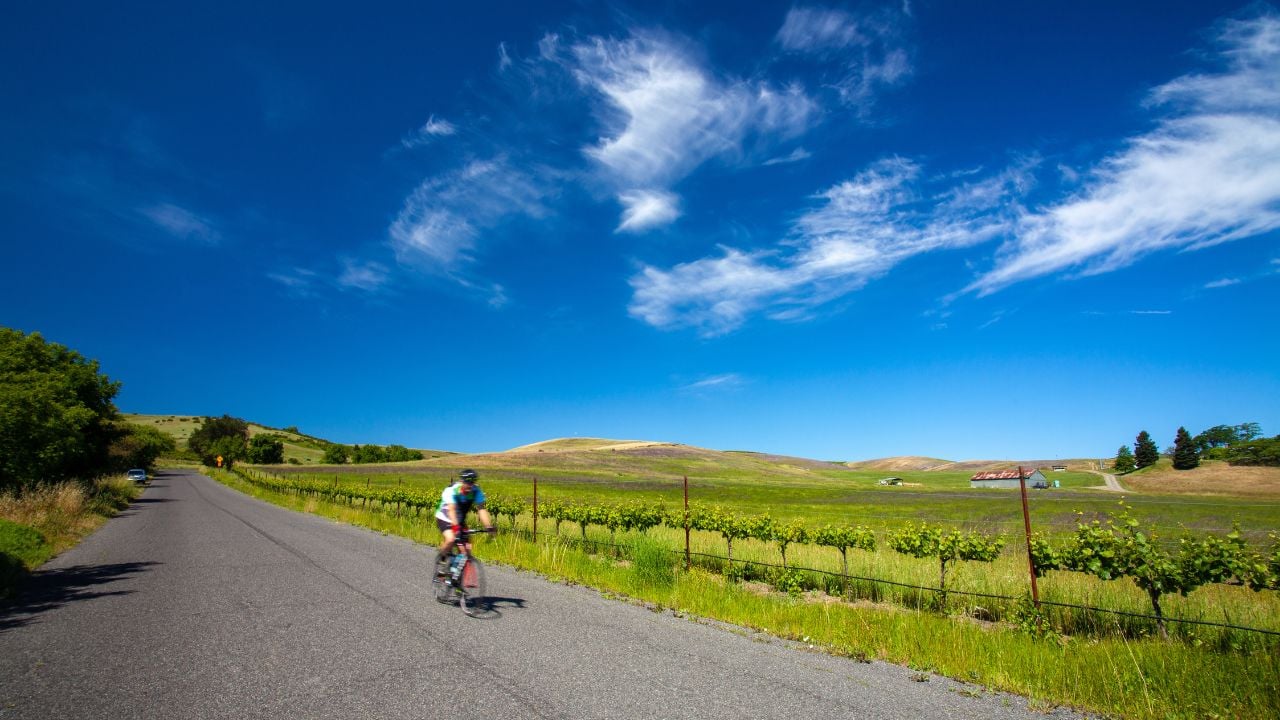 Cycling in Napa Valley, California