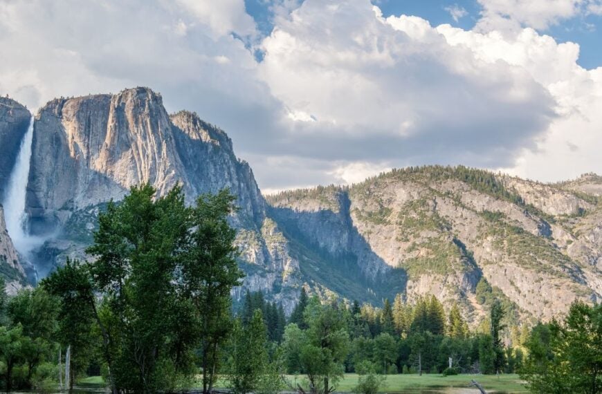 Image Credit: Shutterstock.