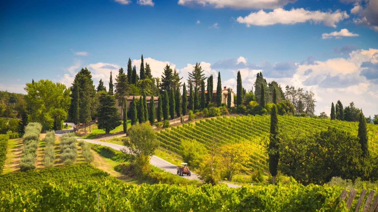 Tuscan landscape with vineyards and cypress trees in Italy.