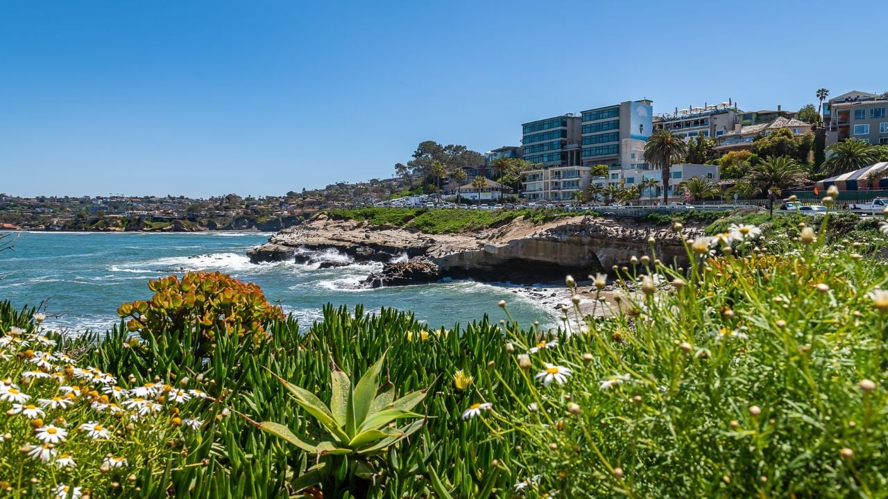 The Coast of La Jolla