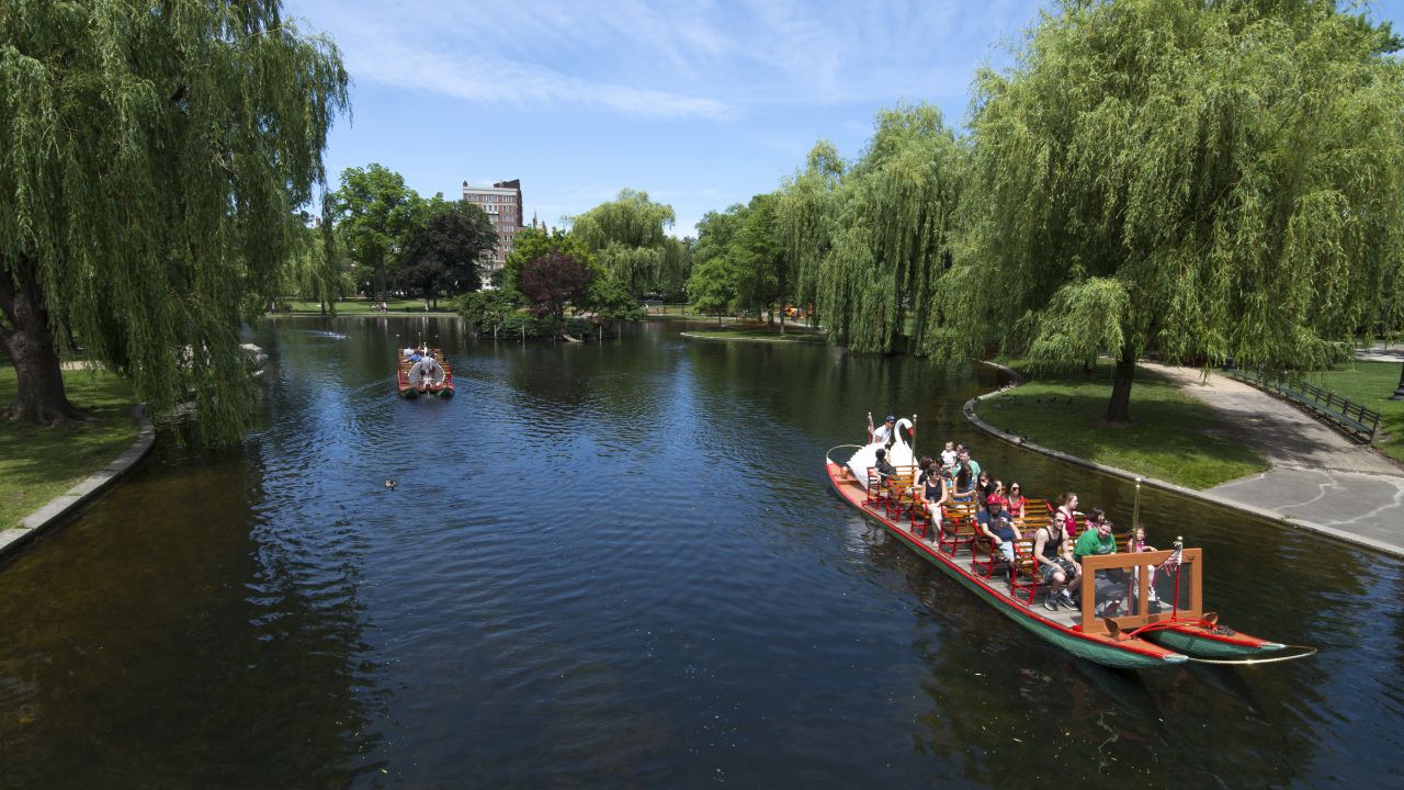 Swan boats on the lagoon in Boston Public Garden, Boston, Massachusetts.