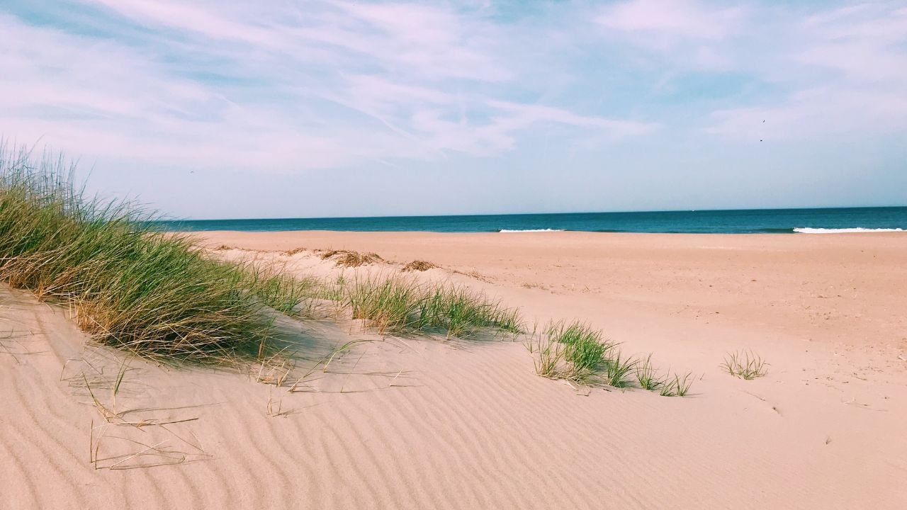 Virginia Beach full of sand and blue skies, sunsets, and water
