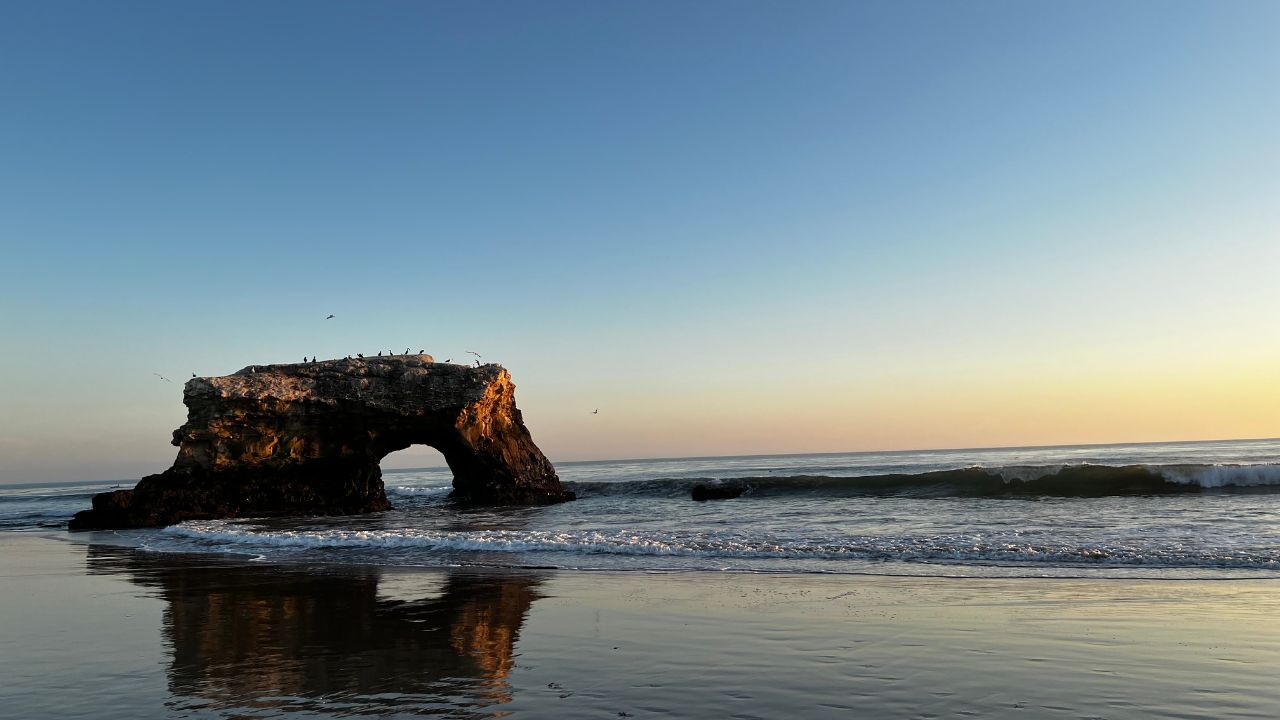 Natural Bridges State Beach in Santa Cruz, California