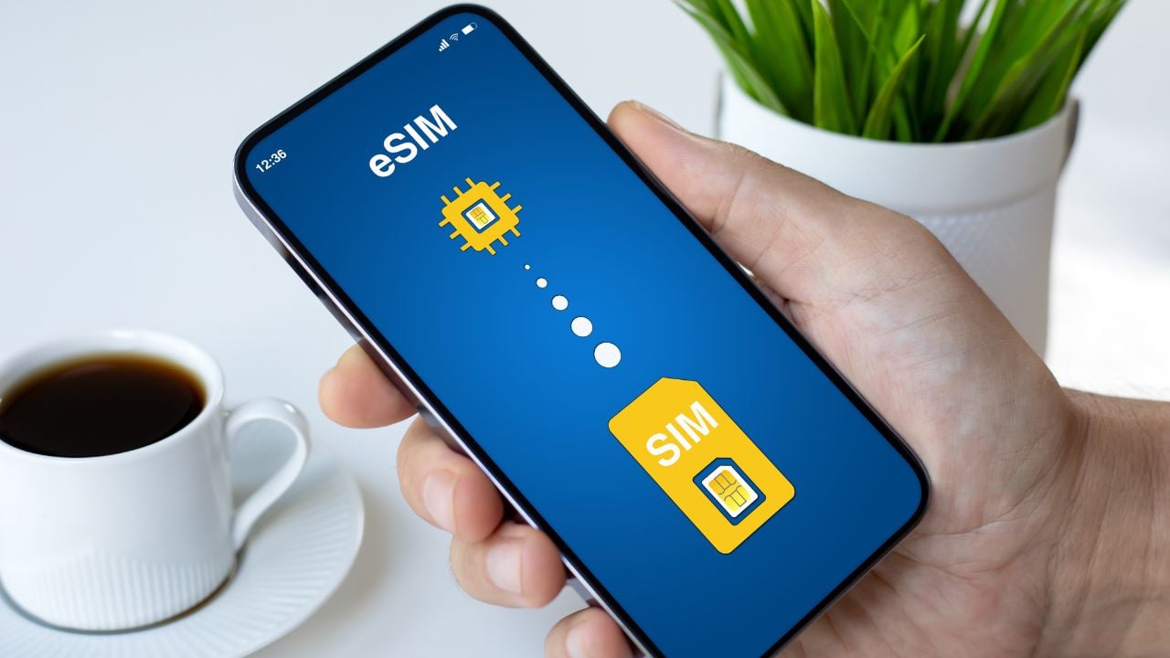 Person holding a phone with eSIM setup on screen.