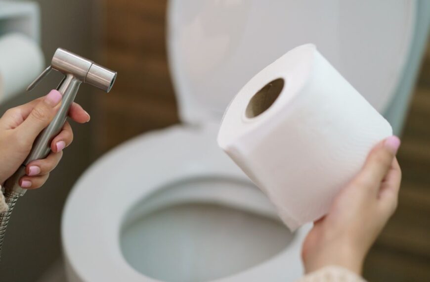 Woman make a choice, bidet shower or toilet paper.