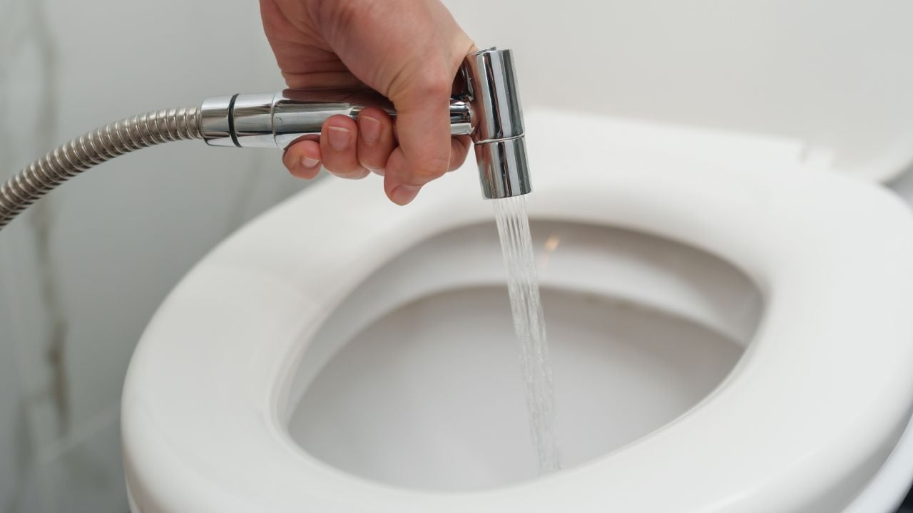 Handheld bidet sprayer beside a toilet