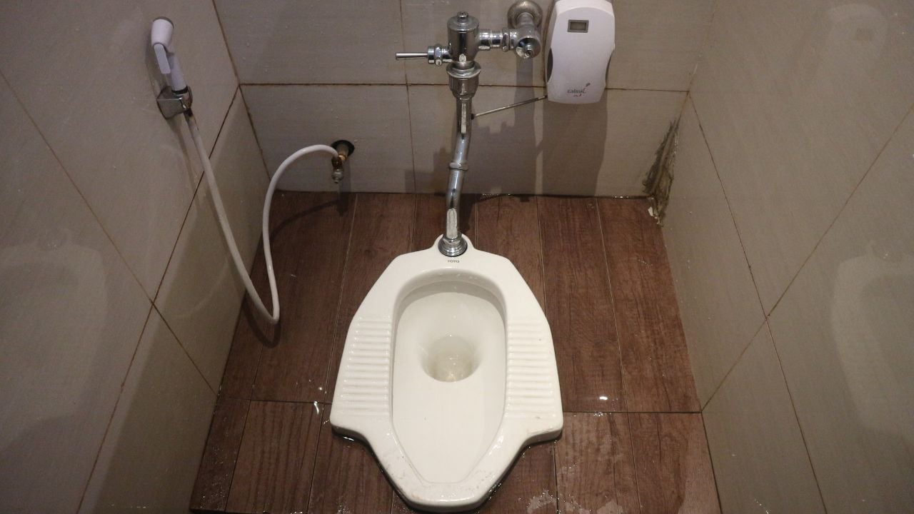 Modern squat toilet with flush and handheld spray