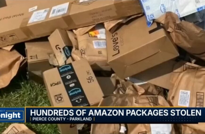 A Stack of Boxes Sparked Suspicion, Then Police Found Hundreds More Inside.