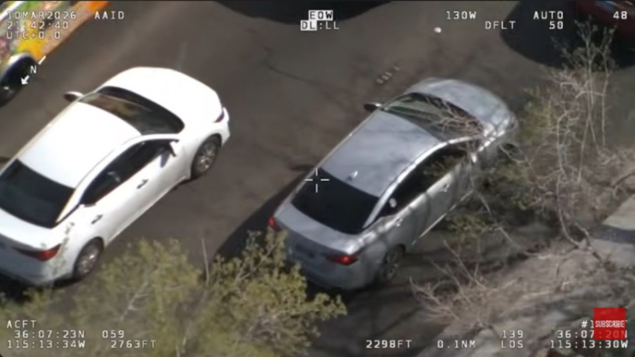 A Risky Intervention: Civilian Tackles Suspect After High-Speed Dash.
