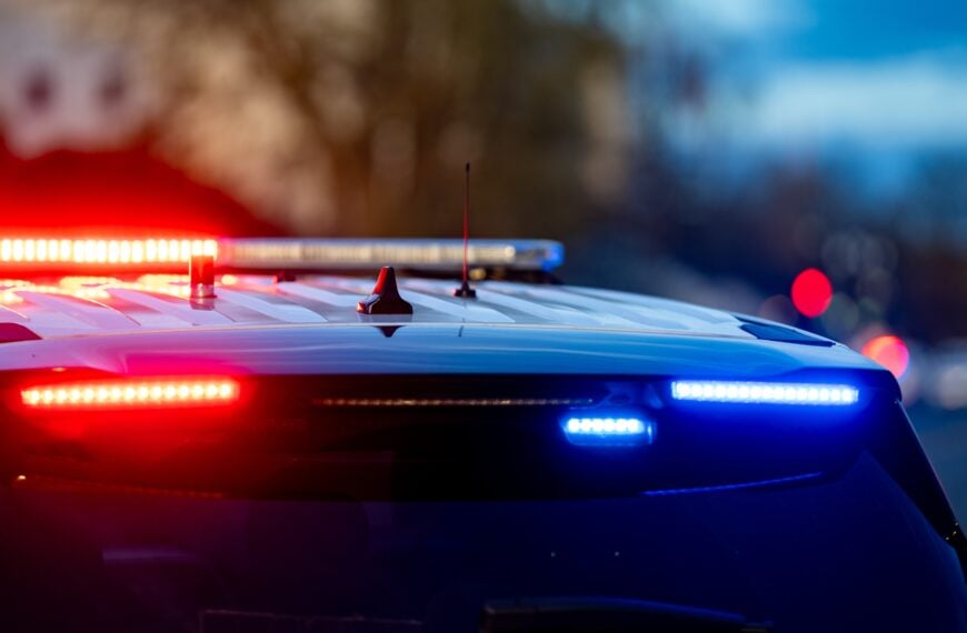 Washington Woman Found in Tree “Harvesting Moss” Before Police Call Former Car Thief To Move Her Car