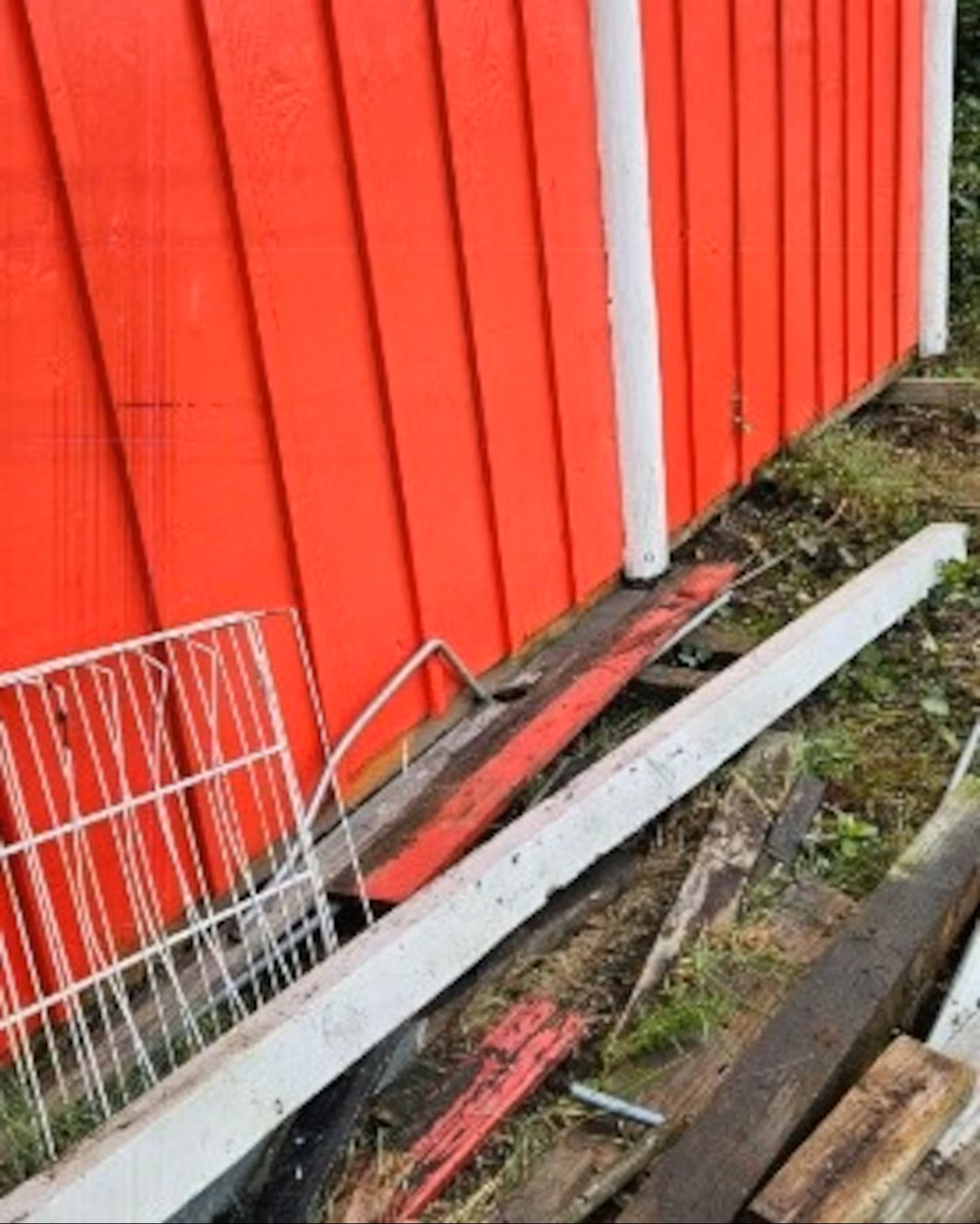 where kittens were found