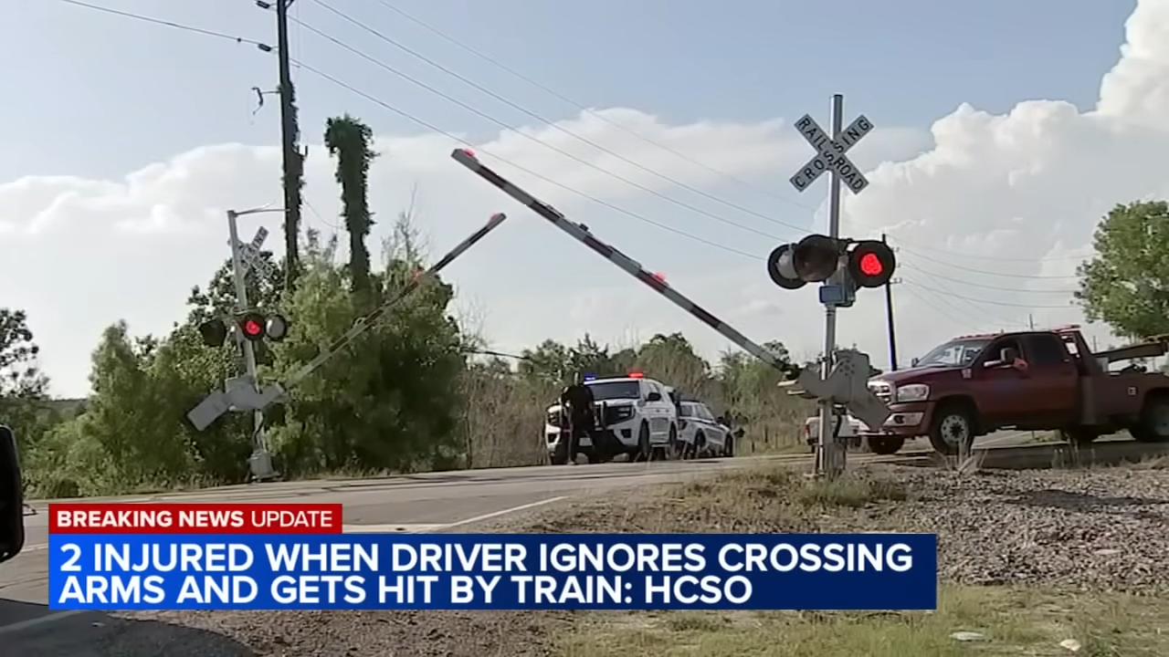 amtrak train alligators