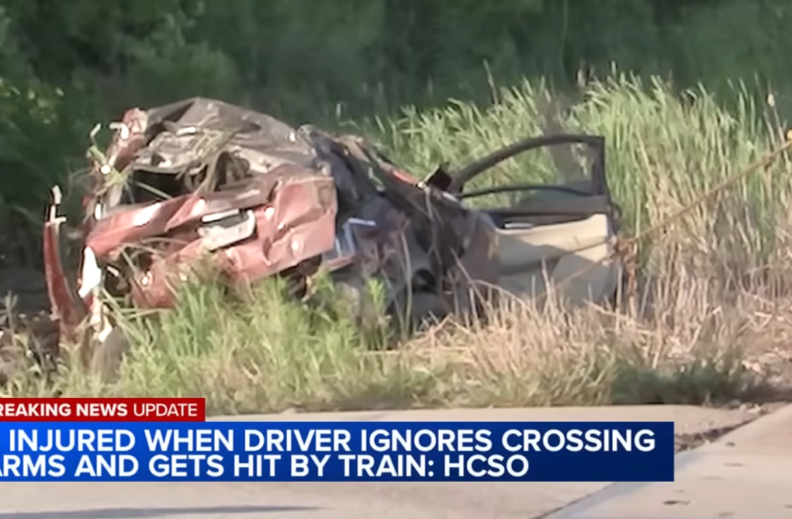 amtrak train confronted by alligators