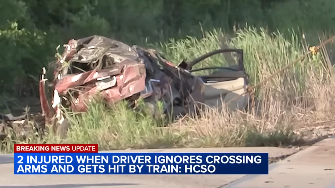 amtrak train confronted by alligators