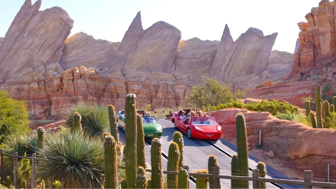 DCA Radiator Spring Racers