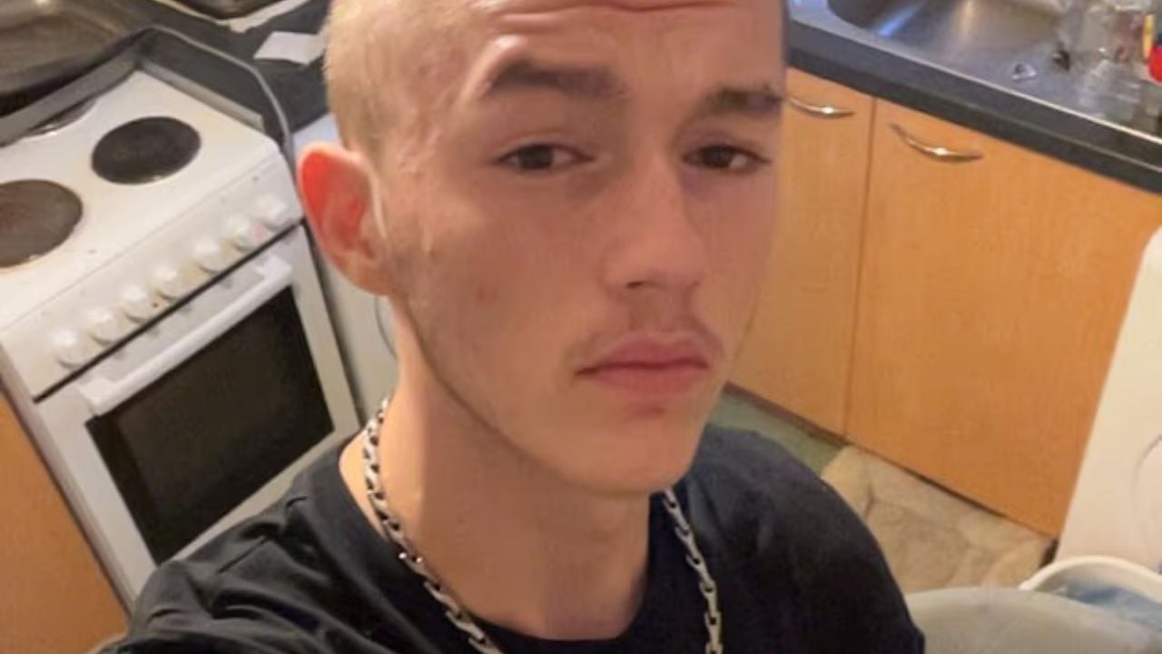 Tasered on a Motorway: UK Teen’s Death Sparks Misconduct Probe.