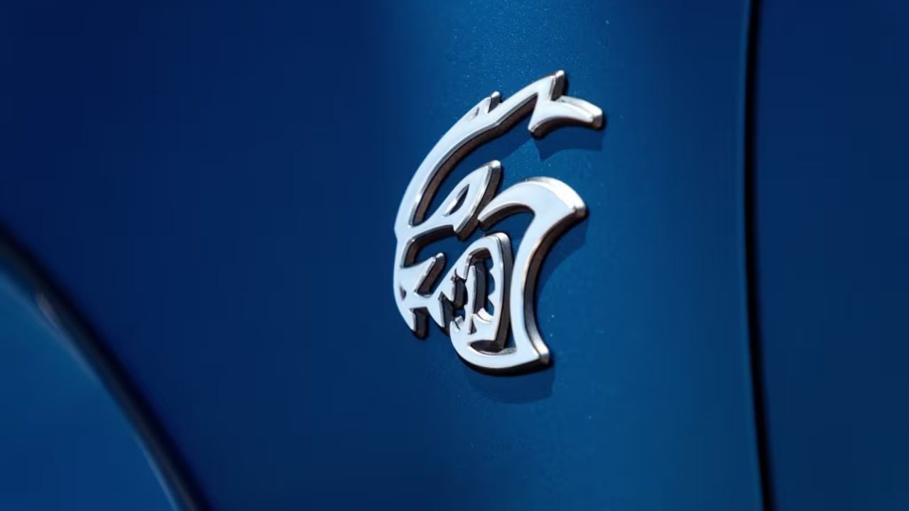 Dodge Charger SRT Hellcat fender badge