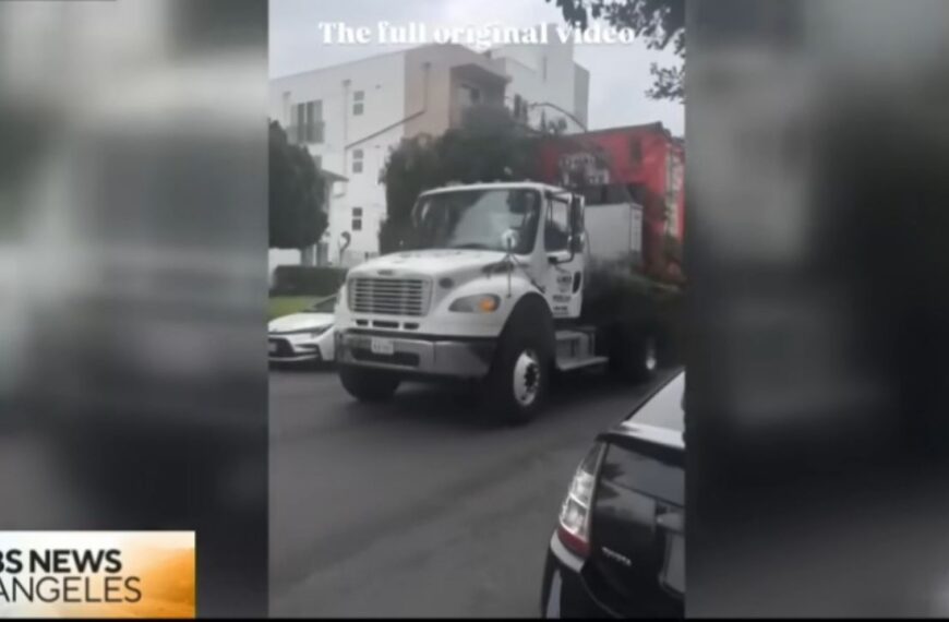 U-Haul driver apologizes after giant branch shreds parked cars along La Maida Street.
