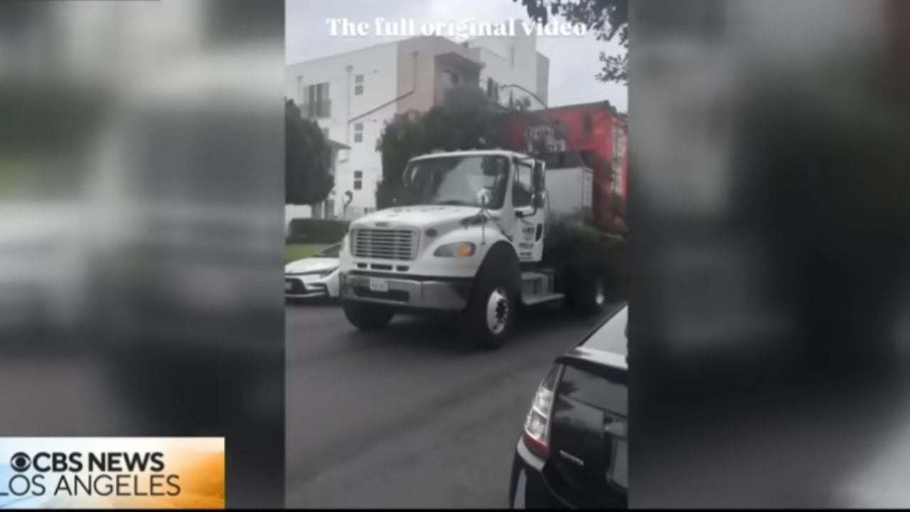 U-Haul driver apologizes after giant branch shreds parked cars along La Maida Street.