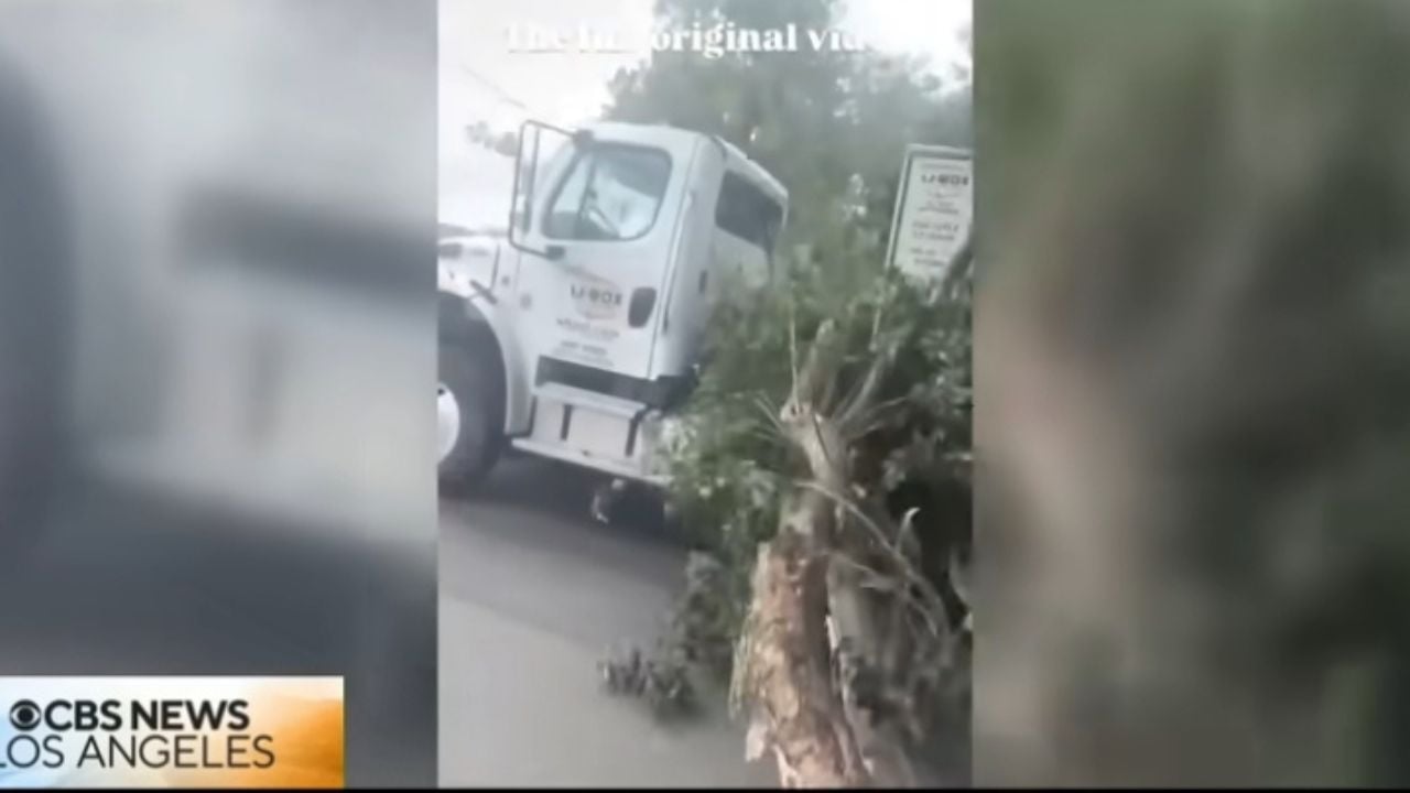 U-Haul driver apologizes after giant branch shreds parked cars along La Maida Street.