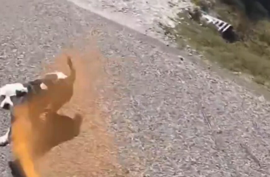He Rides With a Prosthetic Leg, Metal Hardware, and Pepper Spray. Loose Dogs Don’t Scare Him—But the Falls Might.
