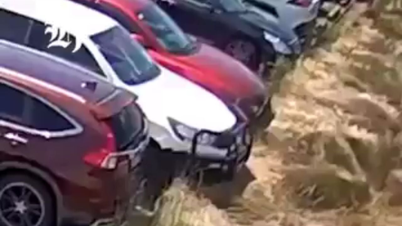 A ute, a catalytic converter, and a wall of fire: Watch how one parking mistake destroyed 15 cars.
