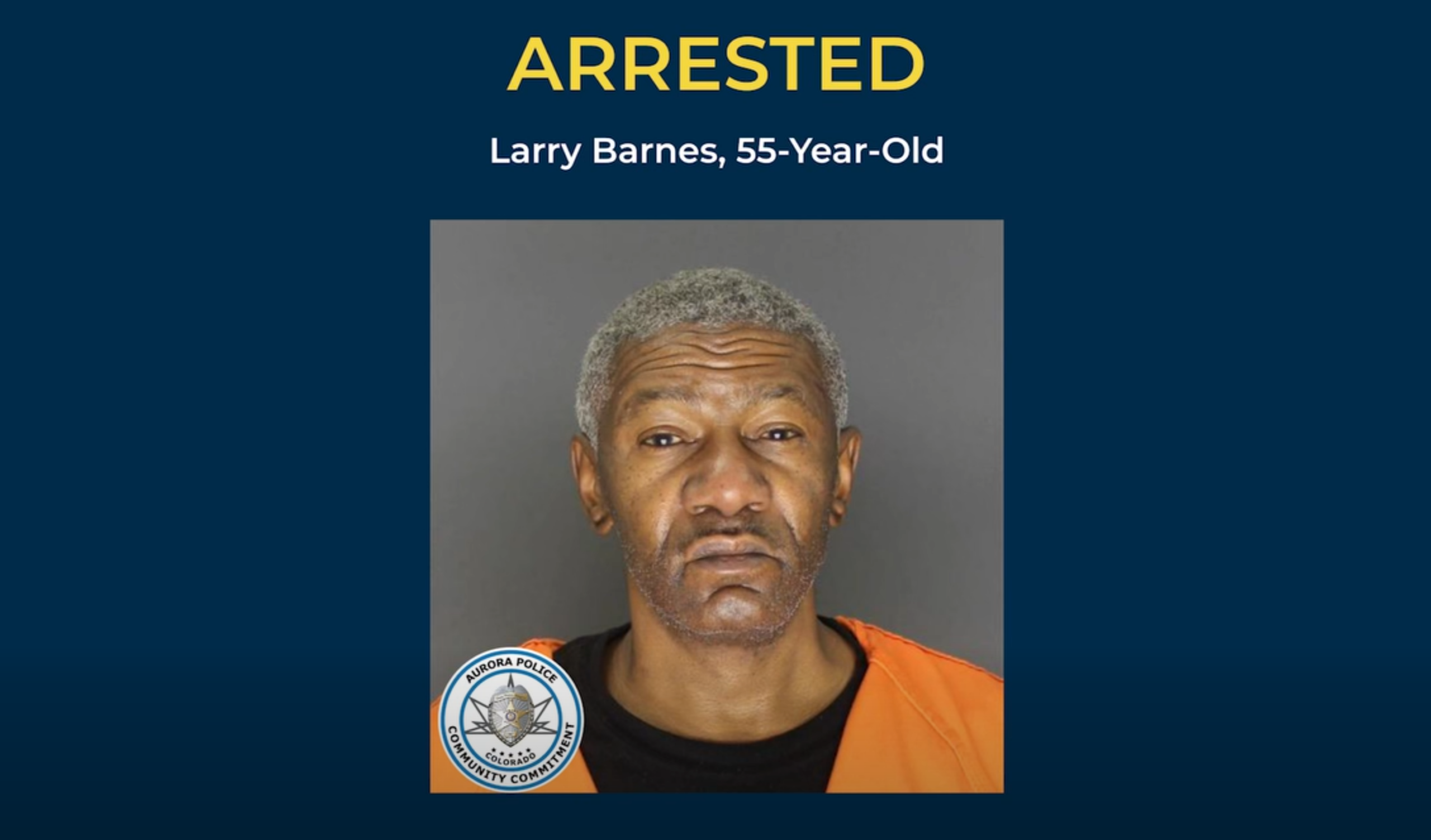 arrest after police chase with blind passenger