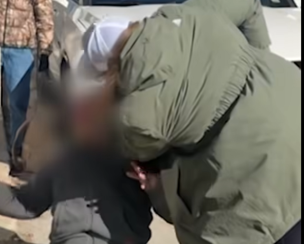 woman body slams car thief