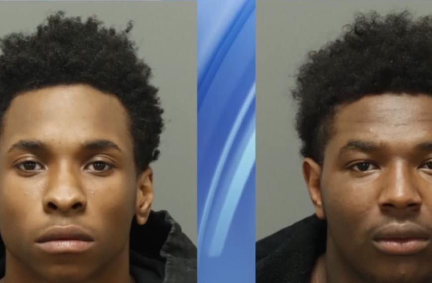two teens arrested for car thefts across counties