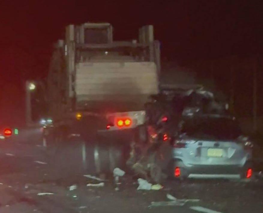 woman dies after hitting tractor trailer