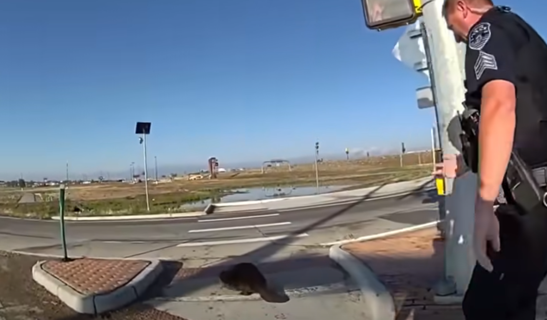 cops help beaver cross street