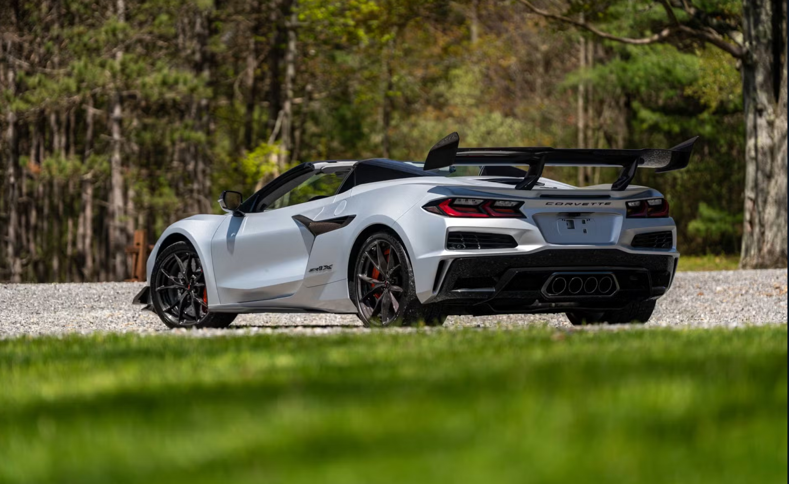 corvette back