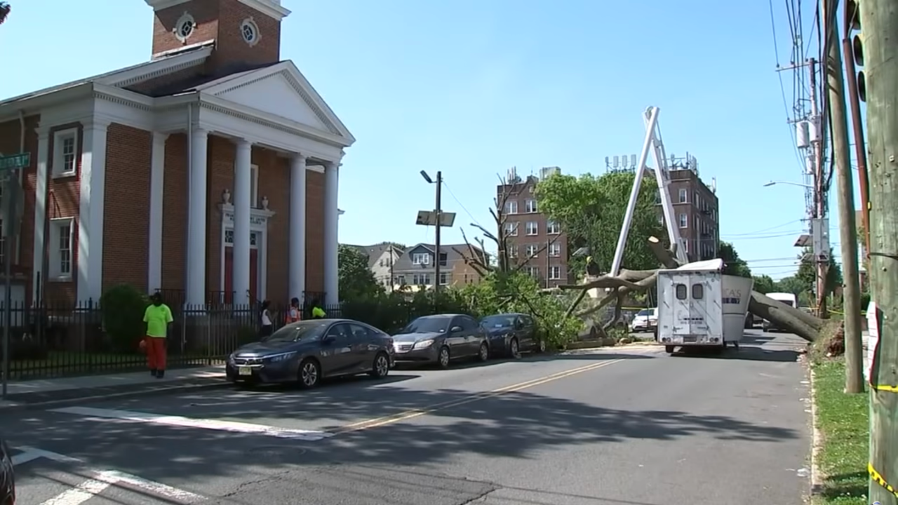 Bakery truck crashes into tree