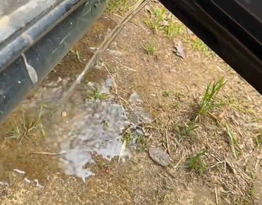 woman notices toyota door leaks