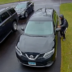 man steals car in 30 seconds