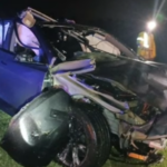 old man dies from tesla autopilot crash