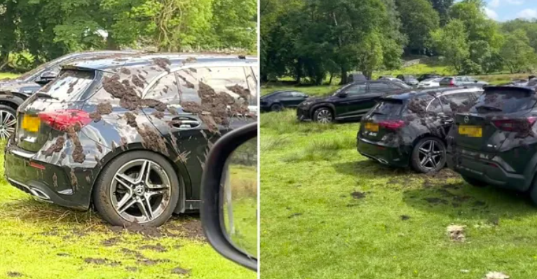 farmer sprays luxury cars with mud