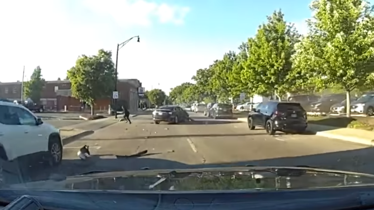 Stolen Chevy Impala Driver Attempts To Evade Cops in Ohio by Jumping Into River