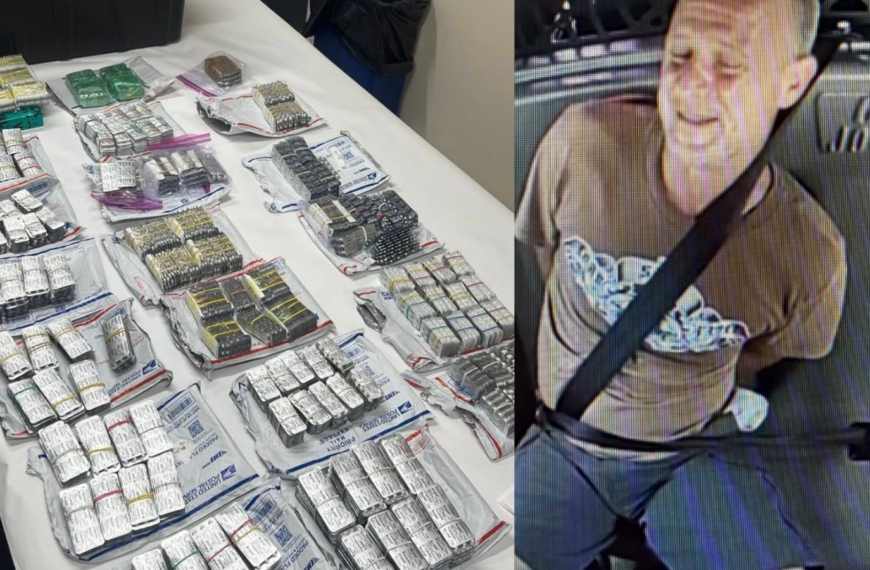Florida Deputies Pull Over Driver, Find 31K Pills and Immigration Violations