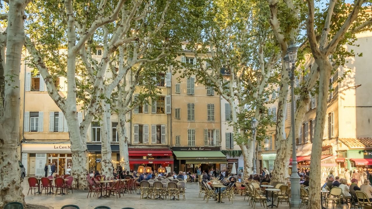 People eating and drinking at outdoor restaurant tables shaded by plane trees in Aix-en-Provence, France