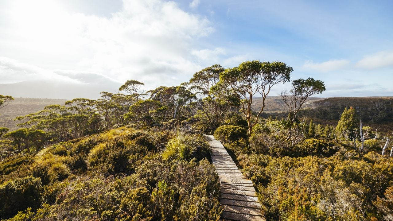 Morning landscape on the Overland Track near Cradle Mountain, Tasmania