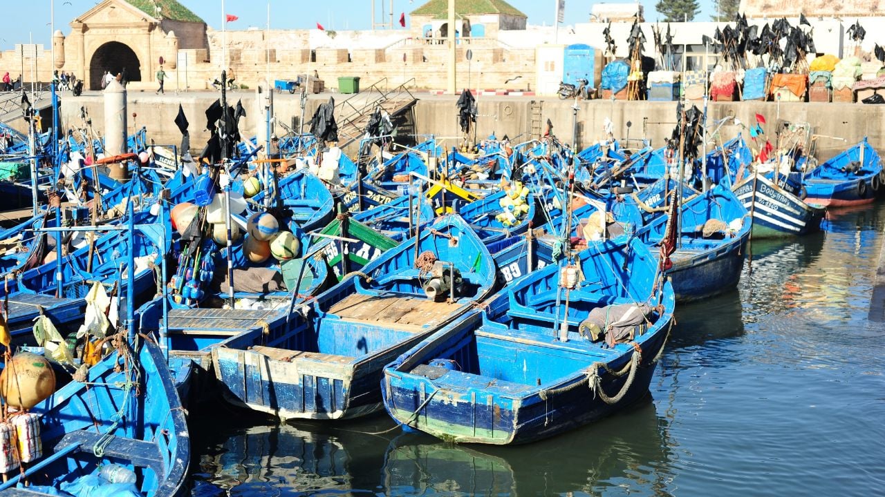 Blue fishing boats in the port of Essaouira, Morocco, with the old medina walls behind them