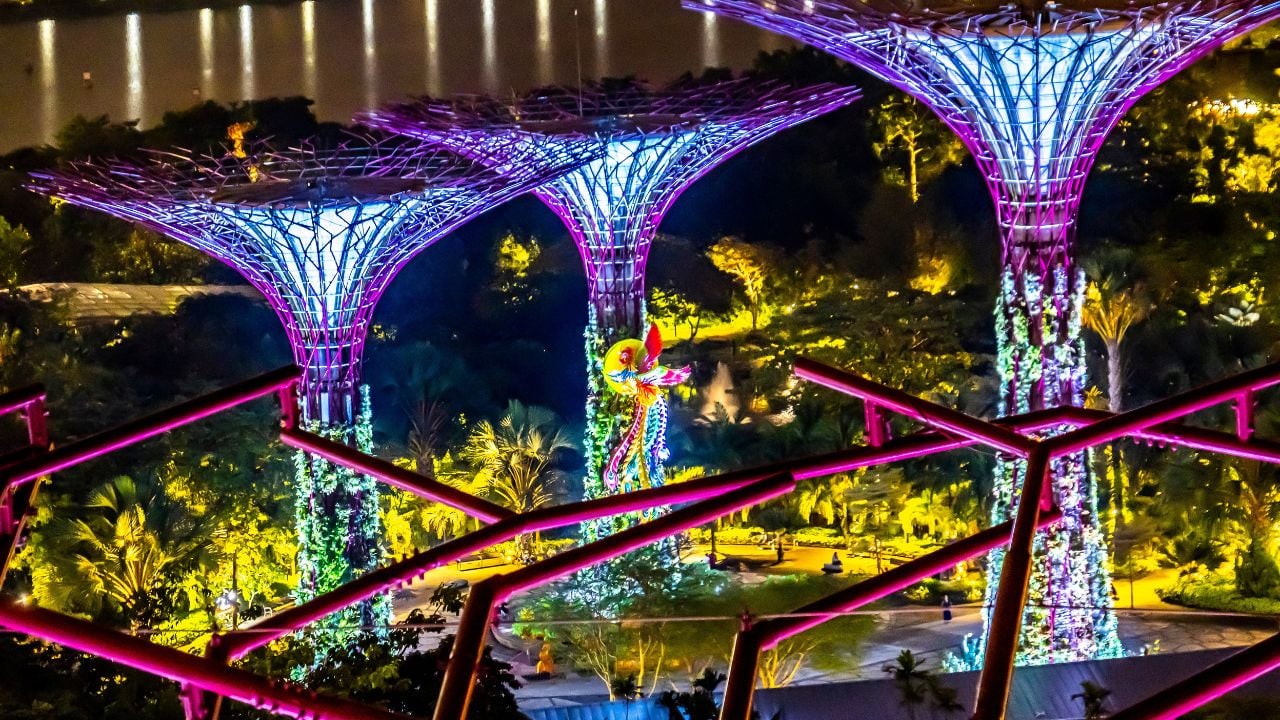 Gardens by the Bay Supertree Grove light show in Singapore at night