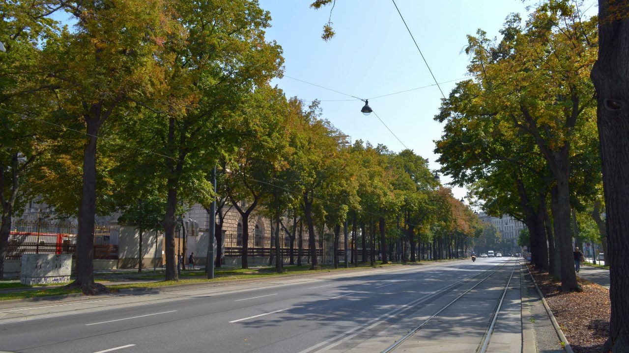 Vienna Ringstrasse boulevard around the historic center of Vienna, Austria