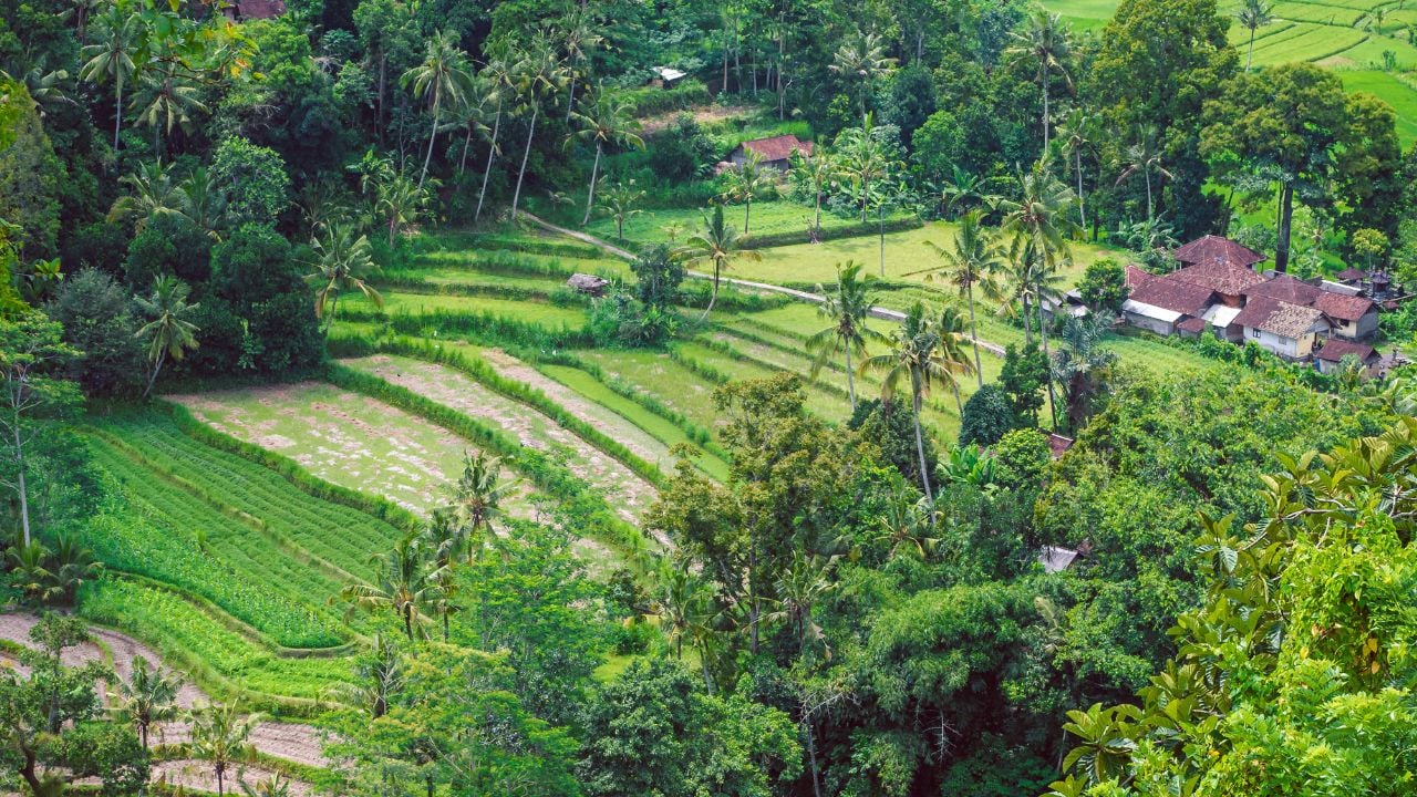 Rice terrace and small village in Sidemen, Bali, Indonesia.