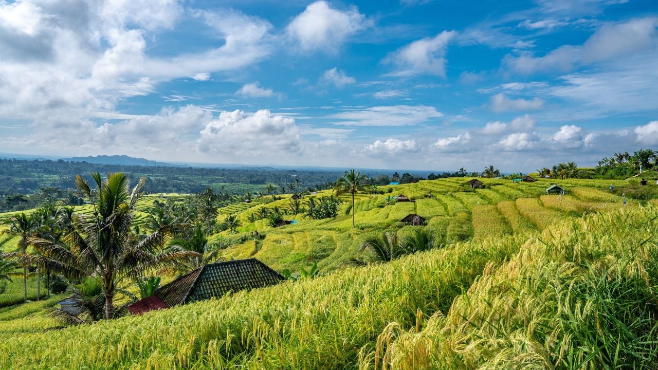 Jatiluwih Rice Terraces in Bali, Indonesia.