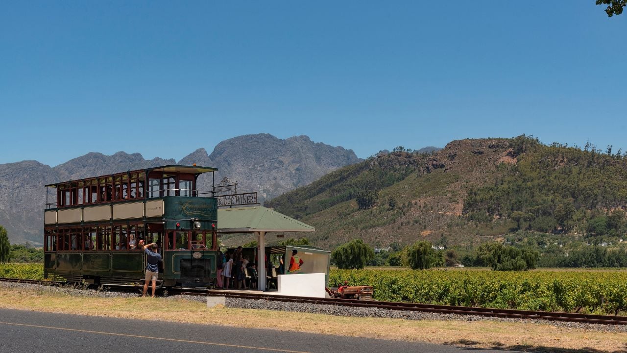 Franschhoek, Western Cape, South Africa. 2023. Tourists boarding a tram to tour the vineyards of this wine producing region.