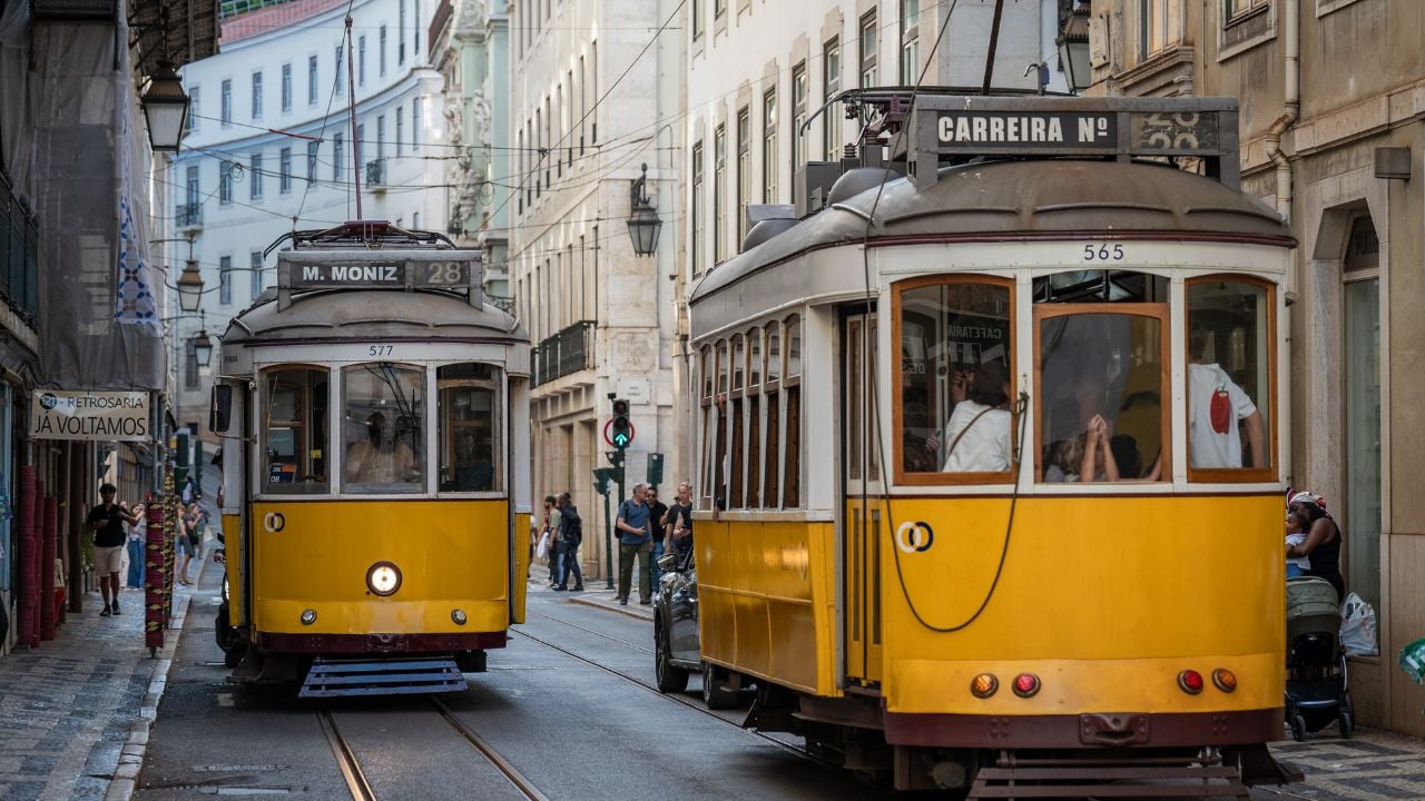 Dziurek / Shutterstock.
