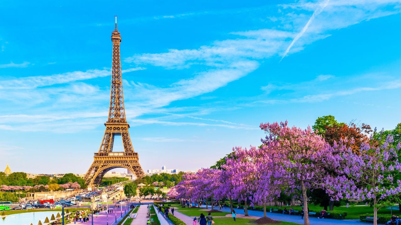 Eiffel Tower with Magnolia flowers. Spring view on Paris, France.